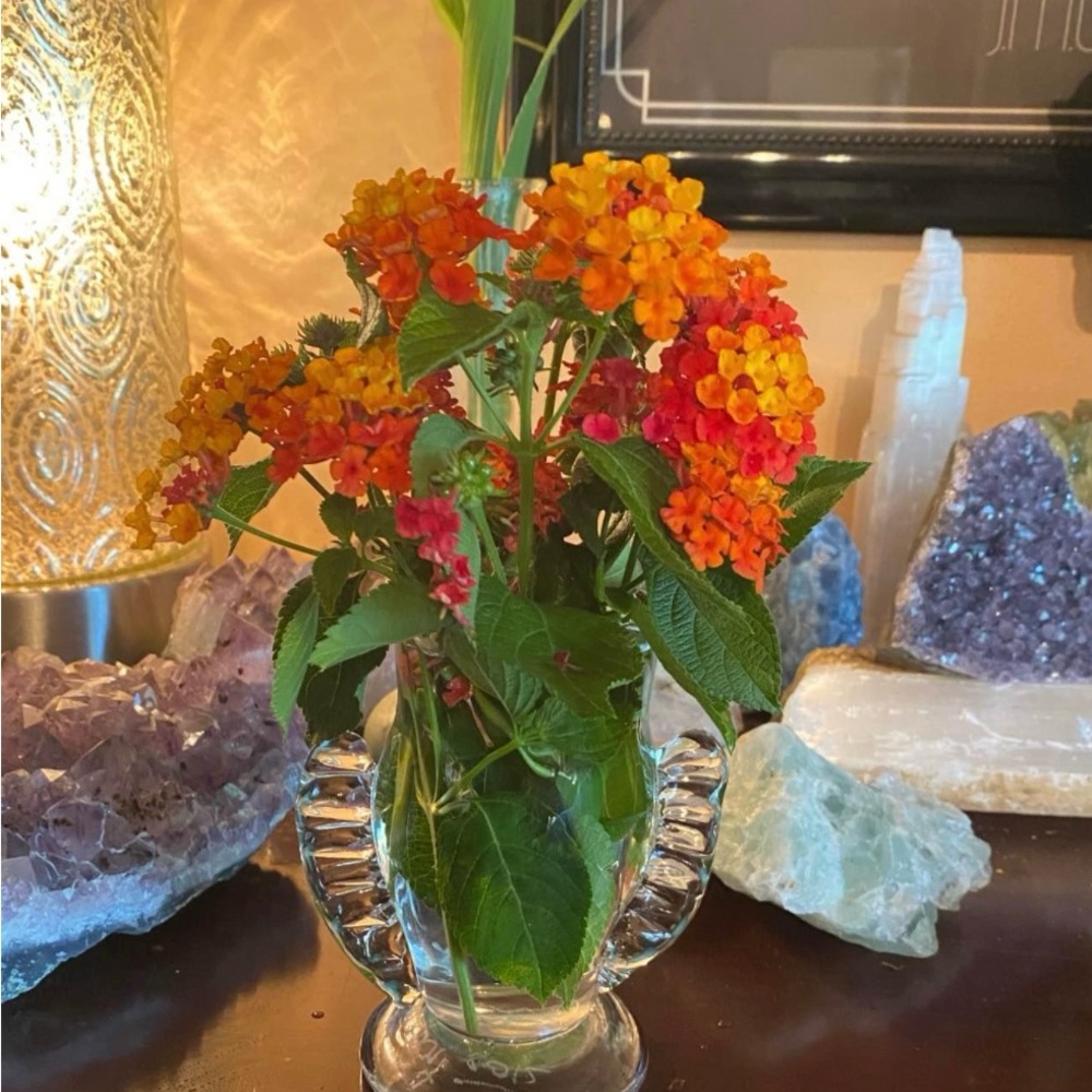 ✨ Signed & Dated Art Glass Vase – 2012 Studio Hand-Blown Piece